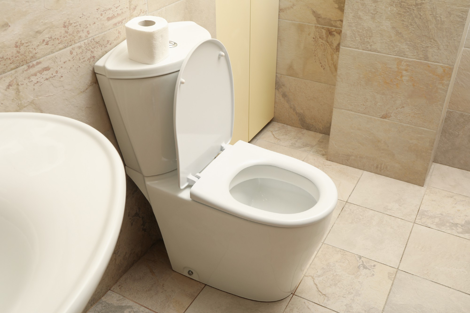 toilet